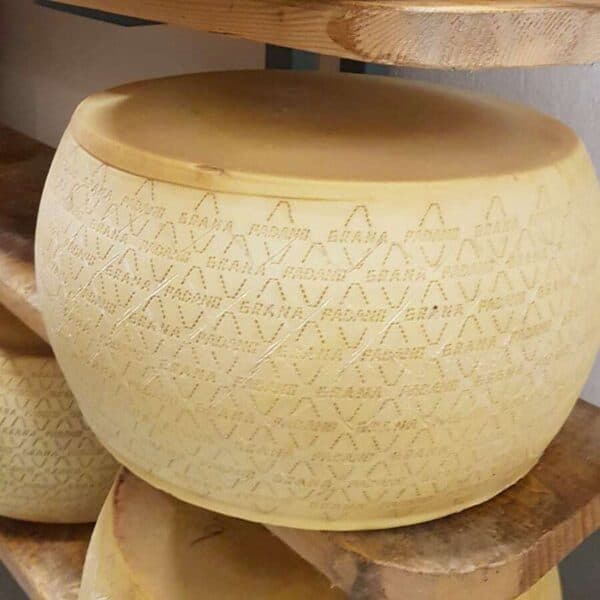 Grana Padano PDO